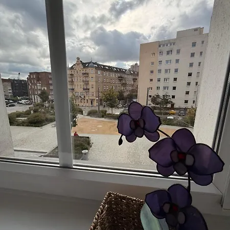 Lazarz Rent